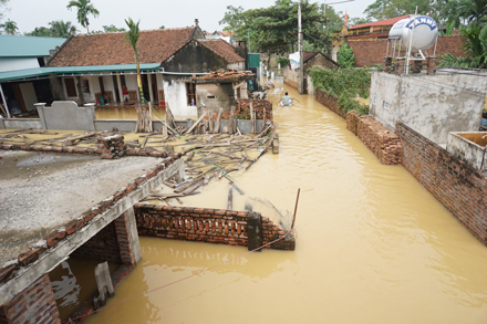 chuong my ha noi nuoc van ngap nghe mai nha