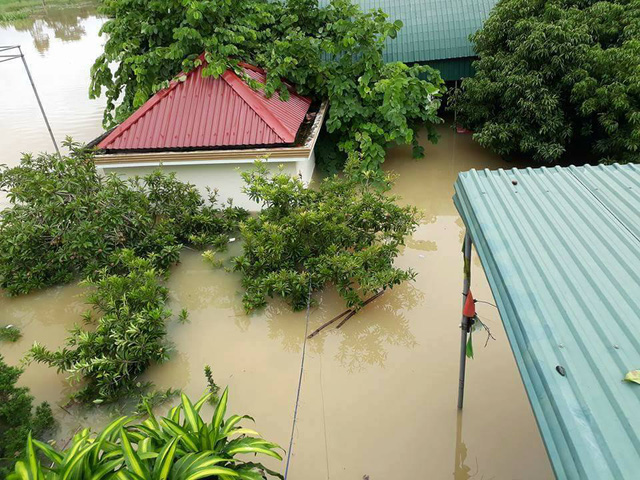 nghe an nhieu truong hoc ngap lut hoc sinh phai nghi hoc