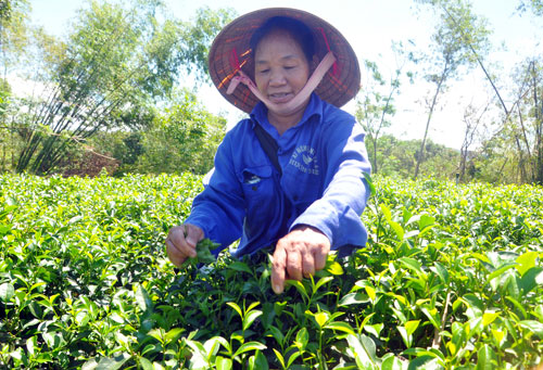 suc song moi noi chao lua tui mua dep nha them tien nho tieu chi dac biet