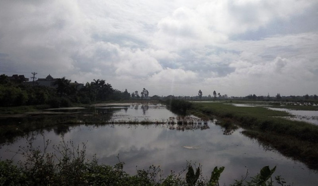 o nhiem bua vay lang tai che nhom binh yen