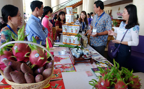 thanh long binh thuan tim huong khong le thuoc thi truong trung quoc