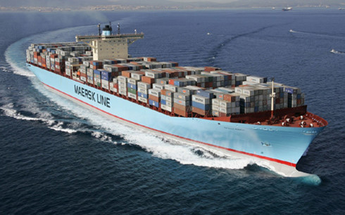 tiep tuc tam giu lo hang dong lanh cua cong ty maersk viet nam