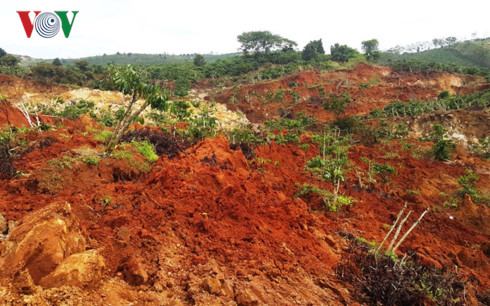 sat lo dat bat thuong o lam dong nghi do dao vang trai phep