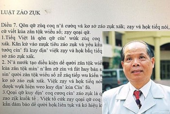 Tổng Thư kí Hội Ngôn ngữ học VN: “Khoan vội… ném đá đề xuất Tiếq Việt”