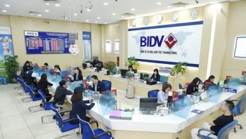 BIDV nợ có khả năng mất vốn tăng 47%