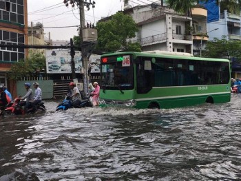 TPHCM: Ngưng mọi hoạt động giáo dục chiều tối nay 26/11