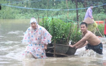 Miền Trung: 3 người chết, 1 người mất tích do mưa lũ