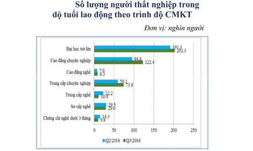 tong cuc day nghe noi gi ve de xuat bo diem san dai hoc