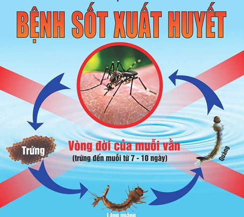 gia tang dot bien cac ca benh sot xuat huyet o gia lai