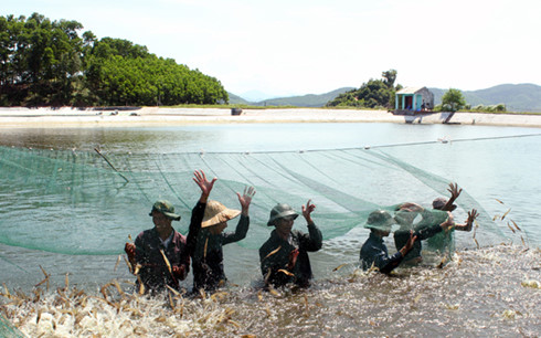 don dap thien tai va su co nong nghiep van tao dau an khoi sac