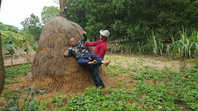 co gi la mieng trong cac phim hai tet viet 2018 quay o my an do