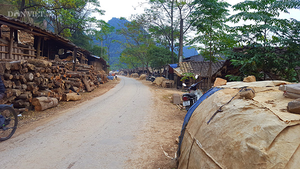 doc dao lam ngoi am duong o xu lang chuyen doi chuyen nghe