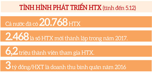 phat trien 40000 htx vao nam 2020