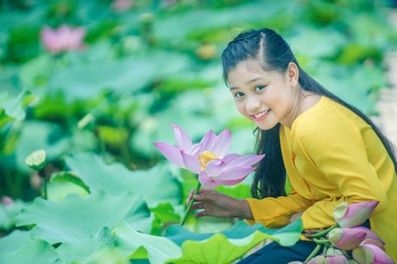 bai hat moi cua noo phuoc thinh bi loai khoi giai mai vang