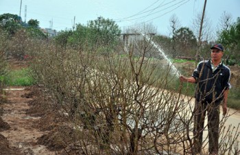 Bứt phá cuối năm, đất trăm nghề thêm 4 xã về đích