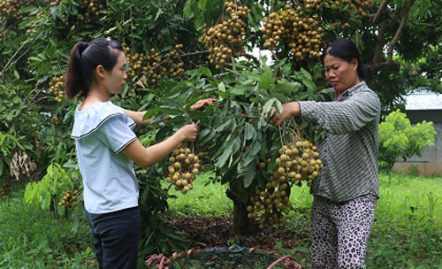 dau tu lam nong thon moi song ma co nhieu ty phu