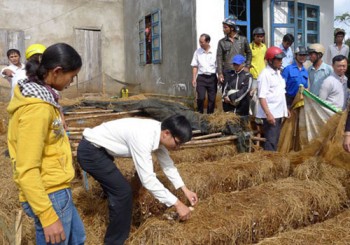 Mới: Trung tâm Dạy nghề và Hỗ trợ nông dân đổi tên mới