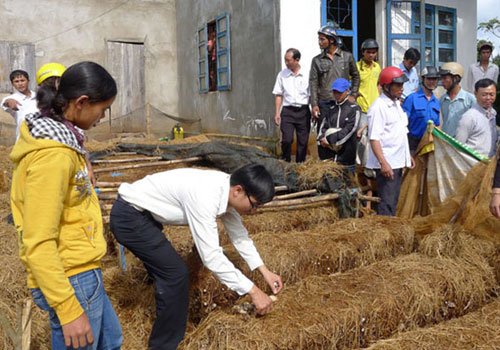 Mới: Trung tâm Dạy nghề và Hỗ trợ nông dân đổi tên mới