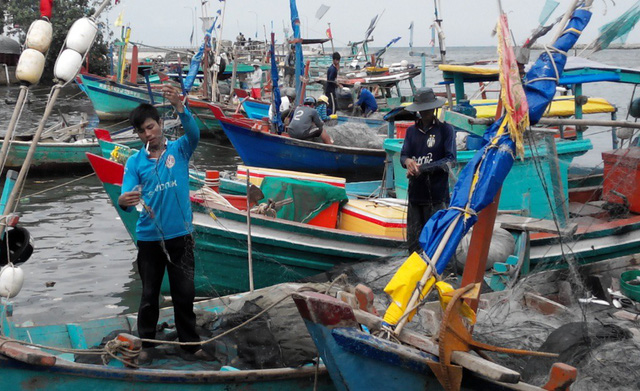 van con 1000 tau thuyen tren bien hon 200 nghin dan can di doi truoc bao 16