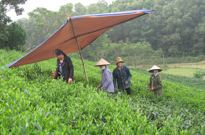 Phụ nữ xã Quyết Thắng với phong trào "dân vận khéo"