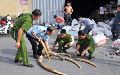 lo hang kinh thuy luc chua gan 310 kg nga voi tai san bay noi bai