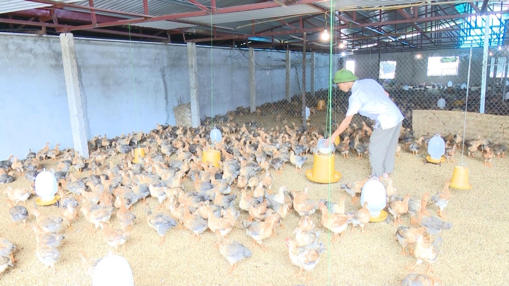 undefined 2330-9-9camera-cuoc-song-laimxf-snapshot-0455-20200909-181920