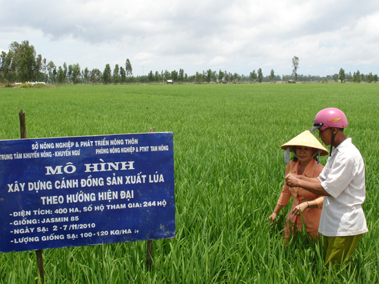 kho khan tieu thu lua gao