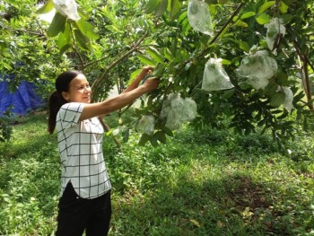 Hội Nông dân tỉnh tiếp tục nâng cao chất lượng, hiệu quả 3 phong trào thi đua