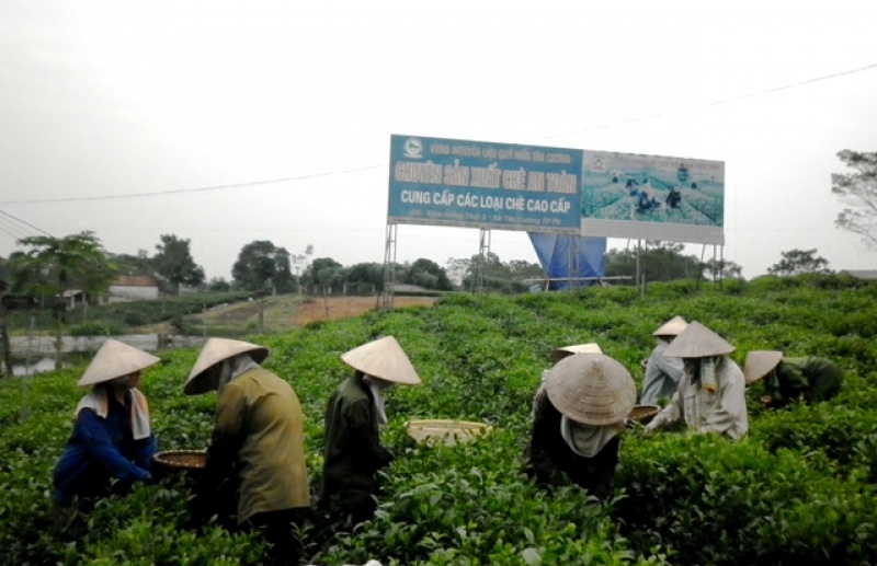 phe duyet thuc hien 18 nhiem vu khoa hoc va cong nghe cap tinh trong nam 2017