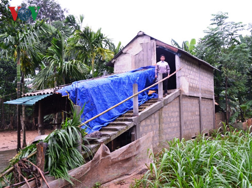 Nhà chống lũ cho trâu, bò: Mô hình hiệu quả giảm tổn thất cho dân nha chong lu cho trau bo mo hinh hieu qua giam ton that cho dan