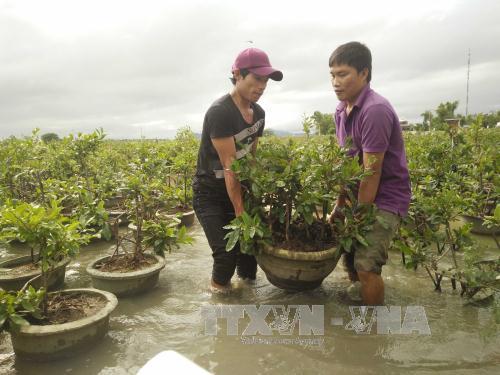 bac bo va bac trung bo ret dam mua to tu ha tinh den binh dinh