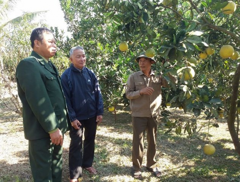 nam 2016 hoi nguoi cao tuoi ket nap tren 6700 hoi vien moi