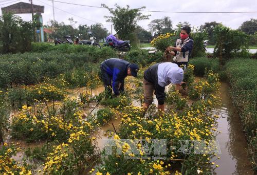 bac bo nang am ngap lut o trung bo giam dan