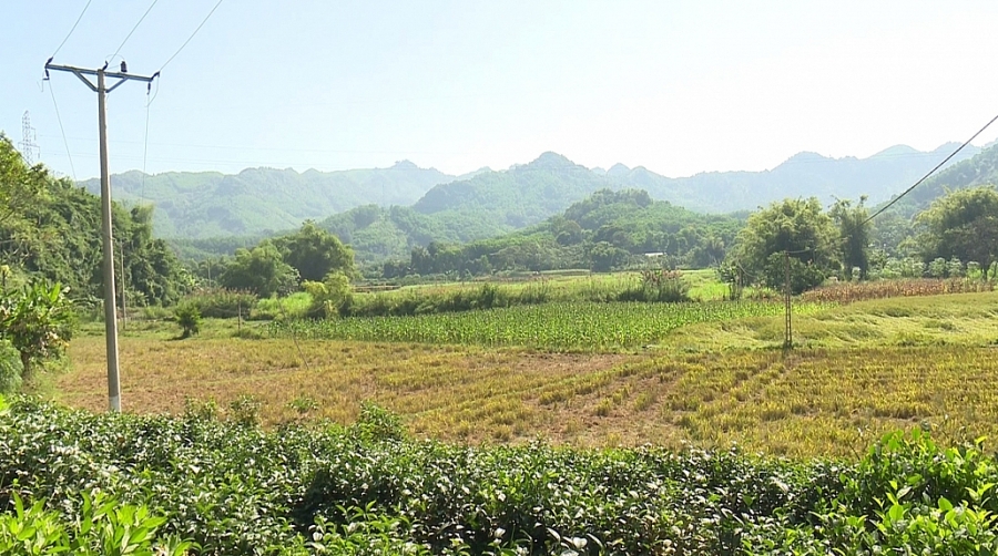 Cần sớm cấp giấy chứng nhận quyền sử dụng đất, đảm bảo quyền lợi cho người dân Cần sớm cấp giấy chứng nhận quyền sử dụng đất, đảm bảo quyền lợi cho người dân