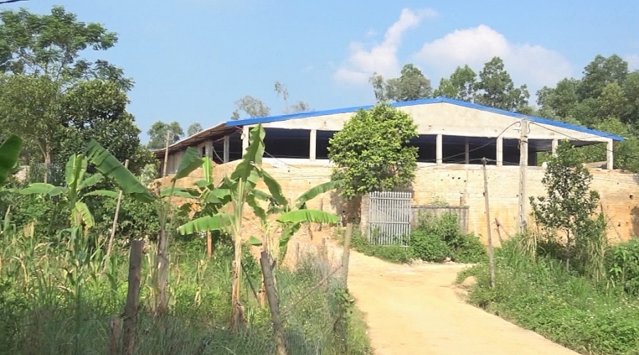 undefined 3550-ps-trang-trai-1