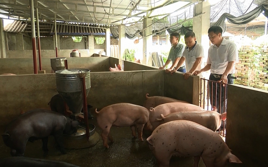 undefined Cần sớm ban hành hướng dẫn người dân thực hiện Luật chăn nuôi