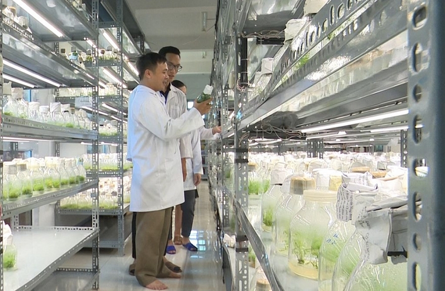 Mức điểm sàn của Đại học Thái Nguyên cao hơn so với năm 2019