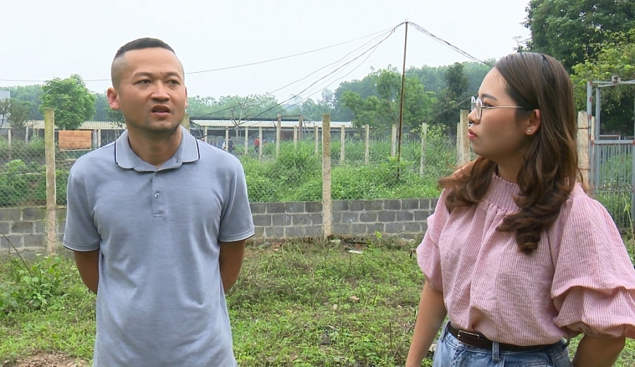 Thành công từ mô hình nuôi hươu sao Thành công từ mô hình nuôi hươu sao