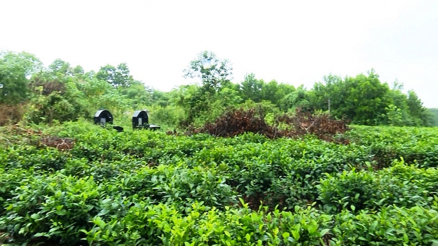 Gỡ khó quy hoạch để đẩy nhanh xây dựng nông thôn mới Gỡ khó quy hoạch để đẩy nhanh xây dựng nông thôn mới