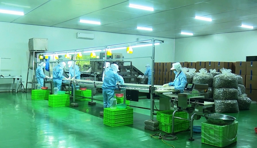 Cần thúc đẩy ứng dụng và phát triển doanh nghiệp công nghệ cao Cần thúc đẩy ứng dụng và phát triển doanh nghiệp công nghệ cao