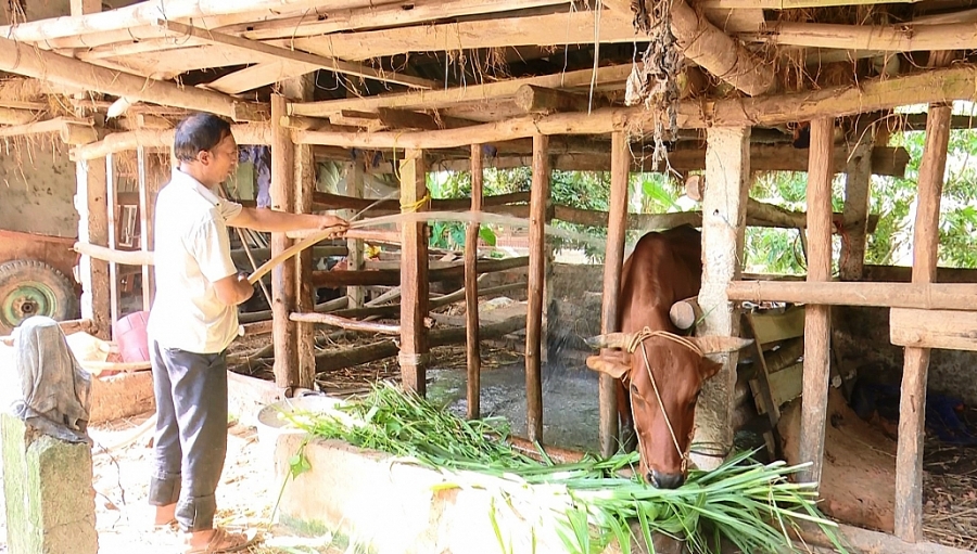 Vốn ưu đãi: Đòn bẩy xóa đói, giảm nghèo