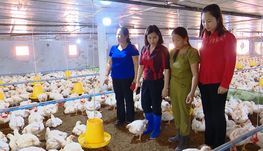 Nhiều mô hình khởi nghiệp hiệu quả của phụ nữ Nhiều mô hình khởi nghiệp hiệu quả của phụ nữ