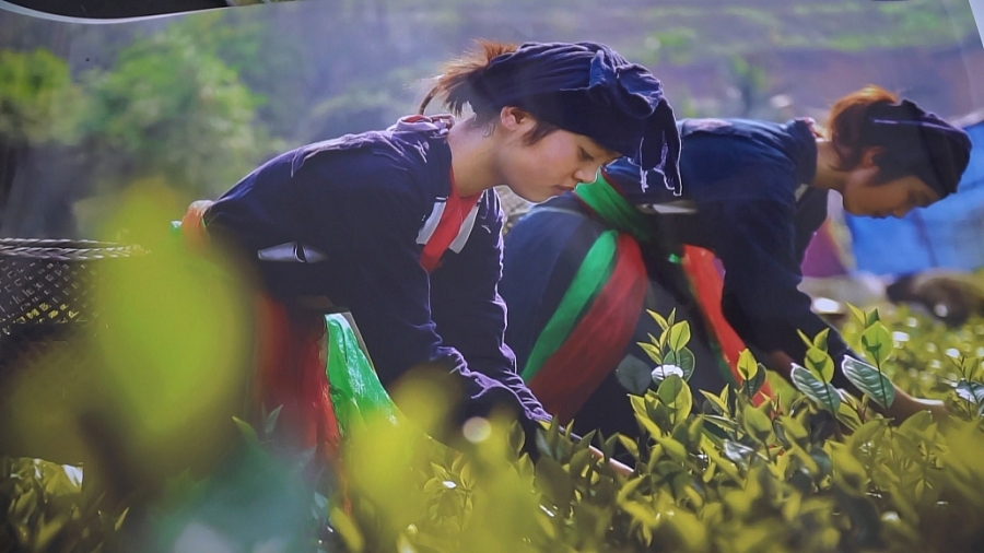 Khơi tìm chiều sâu văn hóa qua mỗi bức ảnh