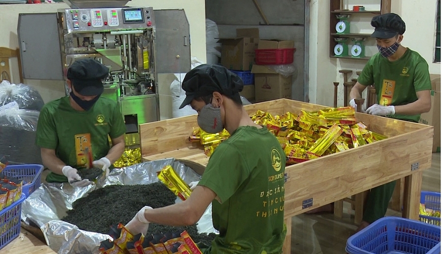 Doanh nghiệp chủ động kết nối, tận dụng cơ hội từ Hiệp định EVFTA