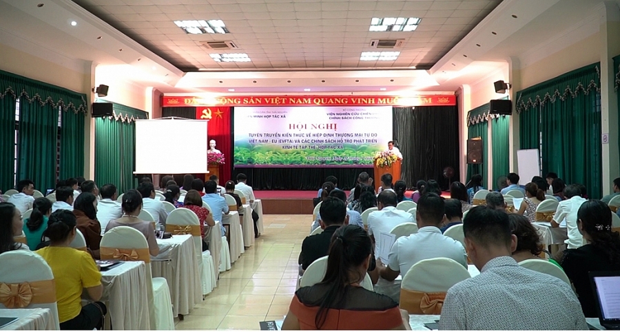 Doanh nghiệp chủ động kết nối, tận dụng cơ hội từ Hiệp định EVFTA