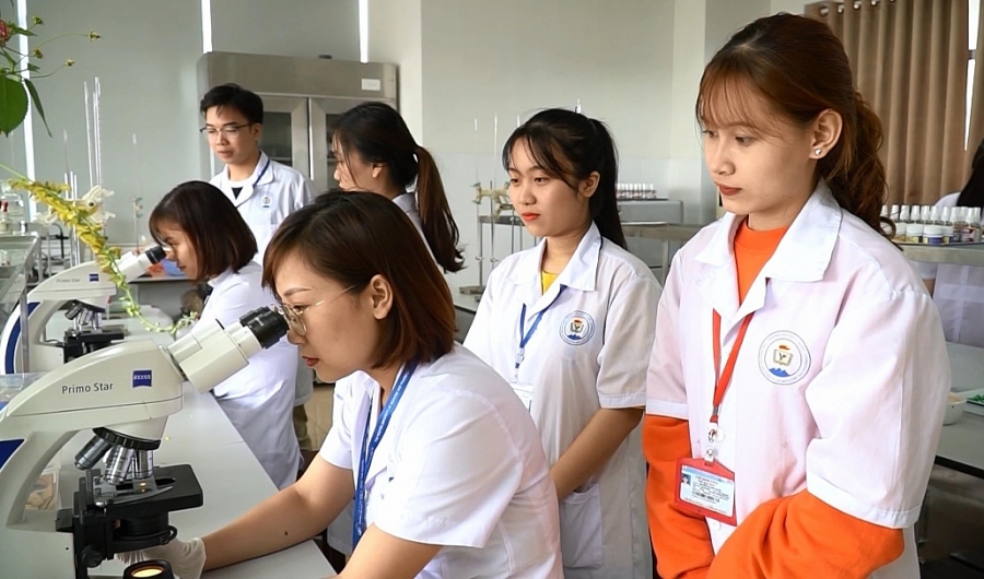 Phát triển sản phẩm chăm sóc sức khỏe từ cây dược liệu Phát triển sản phẩm chăm sóc sức khỏe từ cây dược liệu