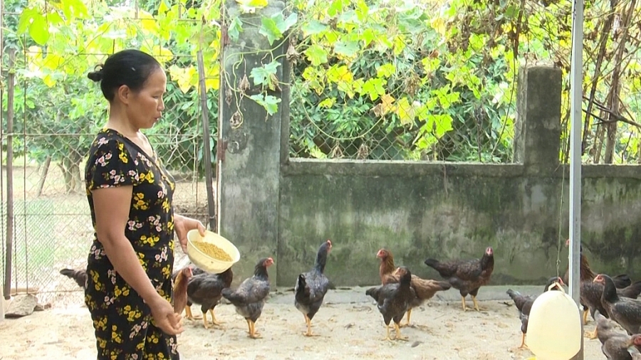 Lan tỏa phong trào thi đua yêu nước trong các cấp hội phụ nữ Lan tỏa phong trào thi đua yêu nước trong các cấp hội phụ nữ