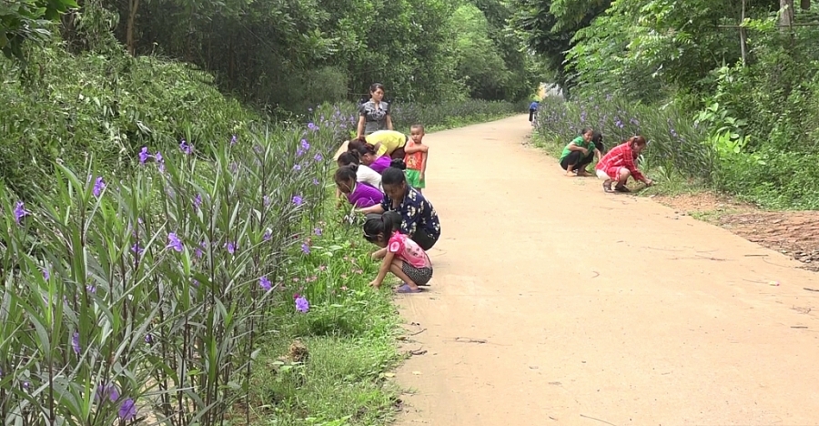 Lan tỏa phong trào thi đua yêu nước trong các cấp hội phụ nữ Lan tỏa phong trào thi đua yêu nước trong các cấp hội phụ nữ
