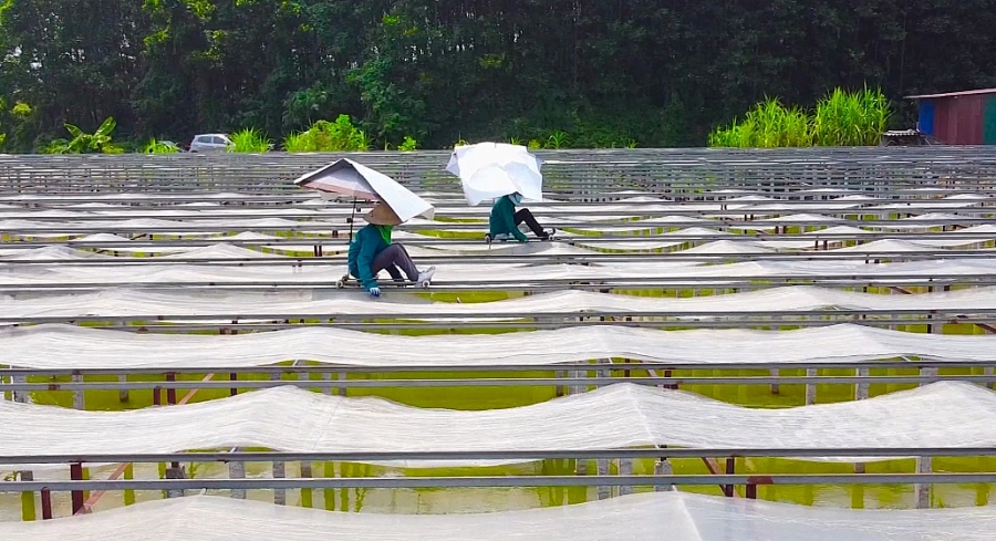 An toàn vệ sinh lao động tại làng nghề truyền thống An toàn vệ sinh lao động tại làng nghề truyền thống