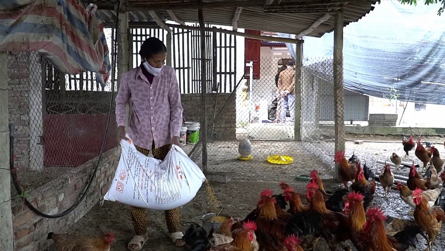 Ngành chăn nuôi Thái Nguyên chủ động thích ứng với Hiệp định EVFTA Ngành chăn nuôi Thái Nguyên chủ động thích ứng với Hiệp định EVFTA